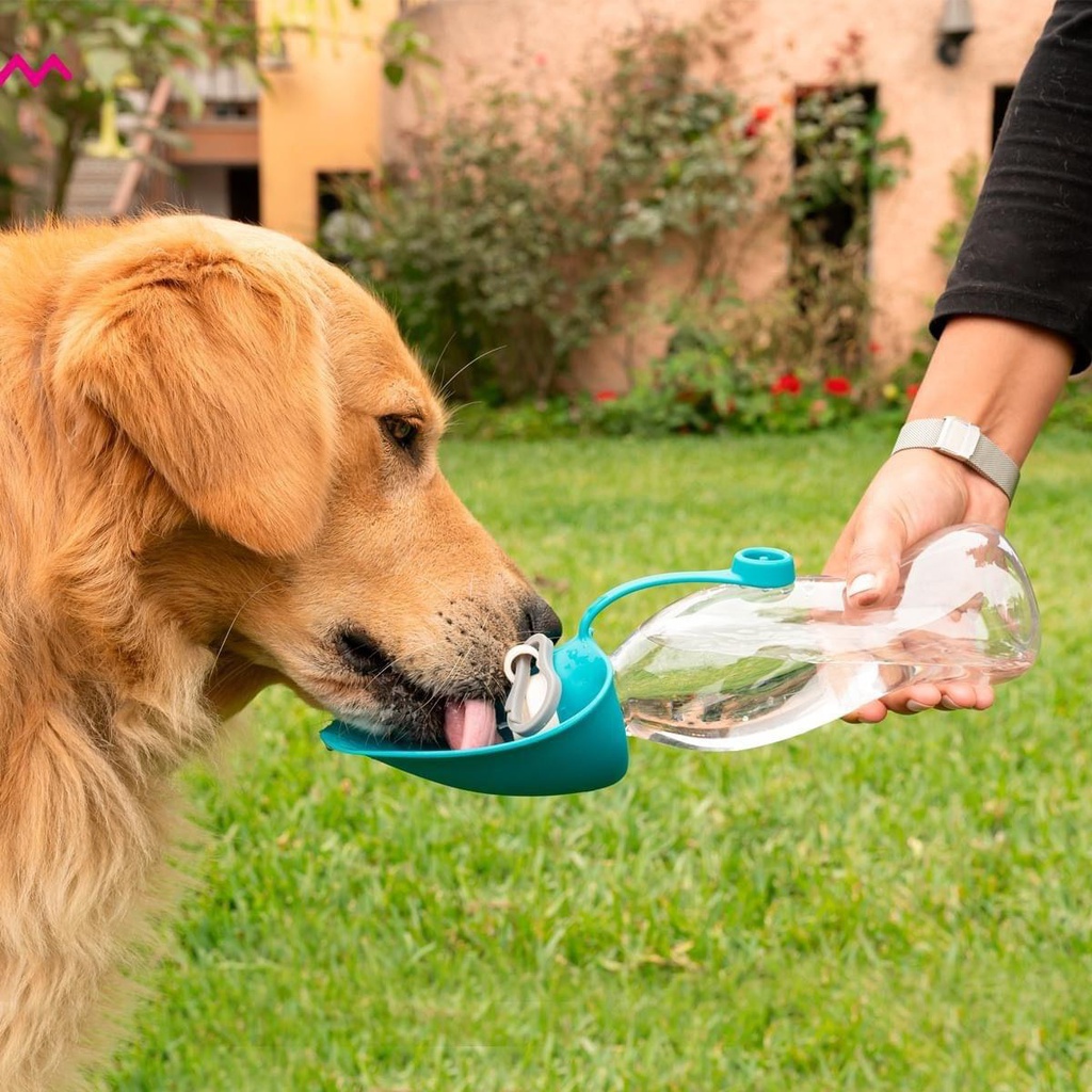 BEBEDERO PORTATIL HOJA